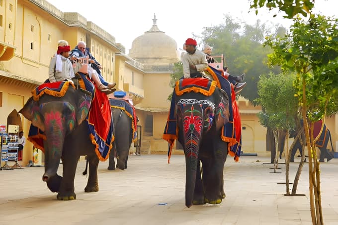 Jaipur in Winter